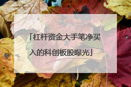 杠杆资金大手笔净买入的科创板股曝光